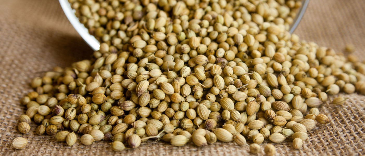 Seeds